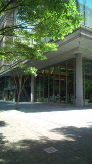 まつげエクステ VENUS LASH の経営日記-20100807095545.jpg