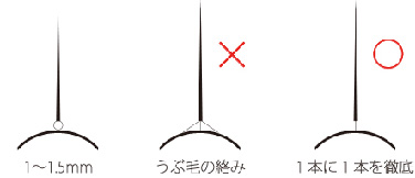 根元の皮膚から1.5mm離して装着