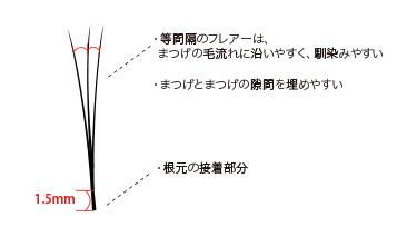 同じ本数でこの違い！のビジュアル