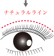 ナチュラルラインをつくる