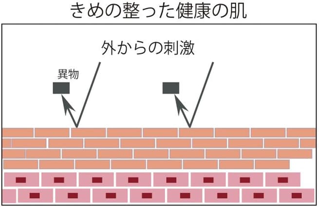 きめの整った健康の肌